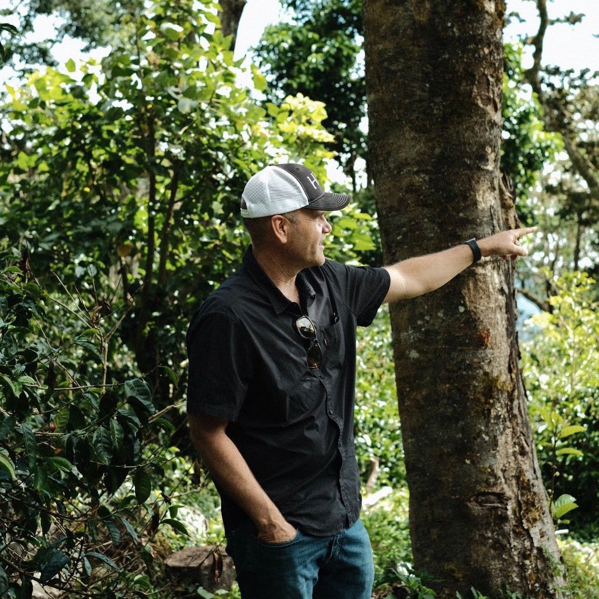 HACIENDA LA ESMERALDA GESHA