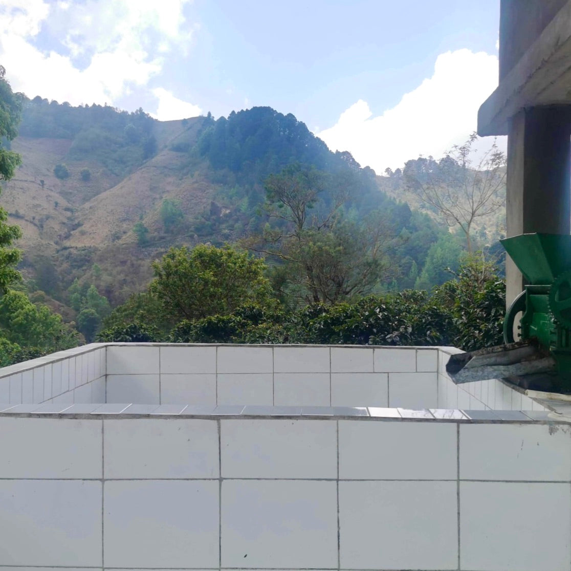 Coffee processing facilities at La Arada