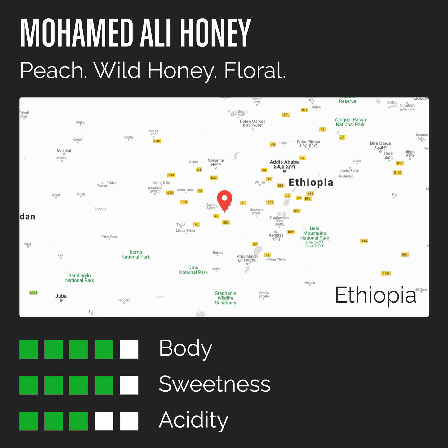 MOHAMED ALI HONEY