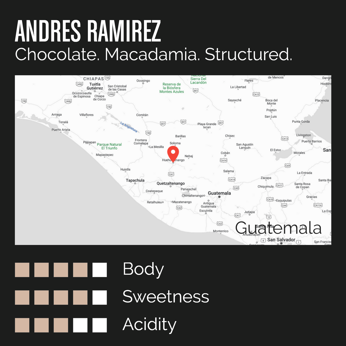 ANDRES RAMIREZ