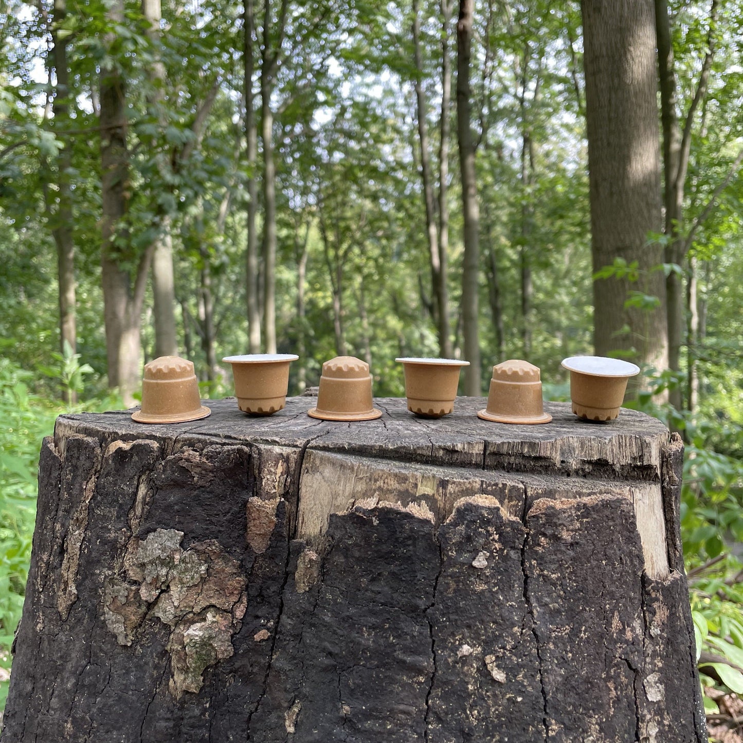 KAFFEE KAPSELN ABO