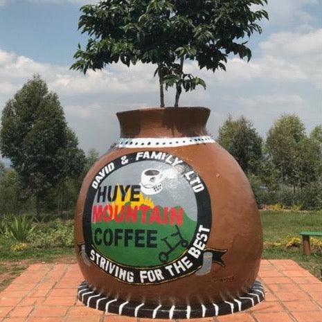 HUYE MOUNTAIN WASHED (4858071580752)