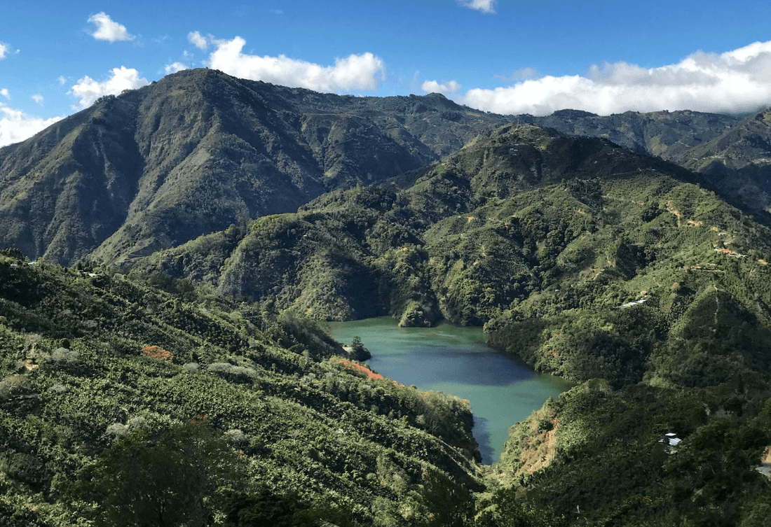 Anaerobic Processing in Costa Rica