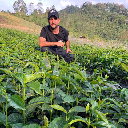 JARDINES DEL EDEN MARAGESHA