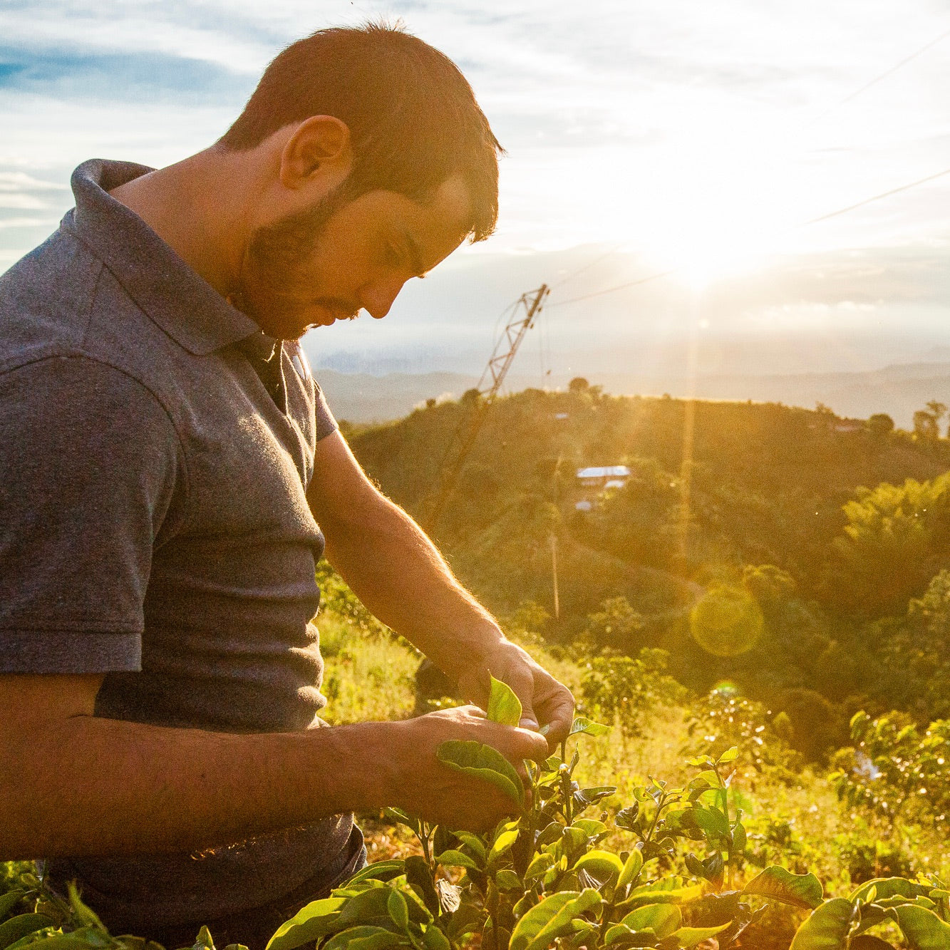 Coffee producer Shady Bayter