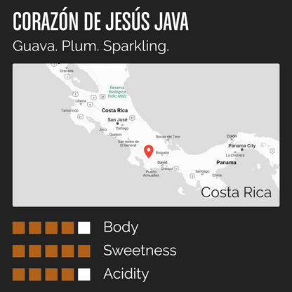 CORAZÓN DE JESÚS JAVA