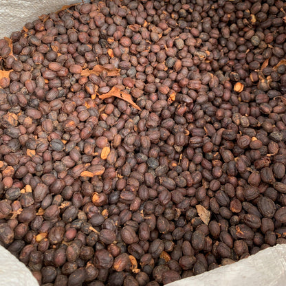 LA PIRAGUA