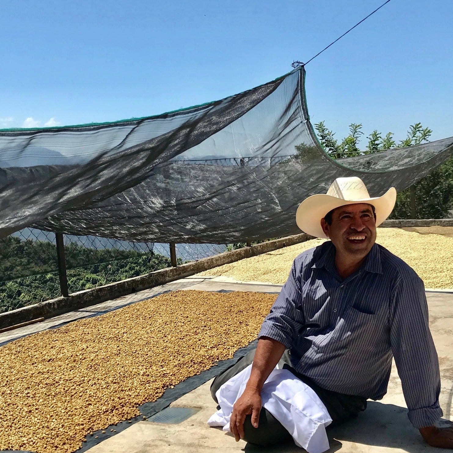 Coffee farmer Francisco Morales on the drying patio