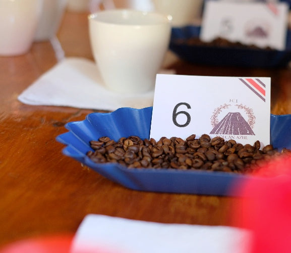 COSTA RICA TWIN BOX