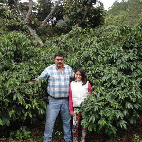 Coffee Farmer Antonio Medina