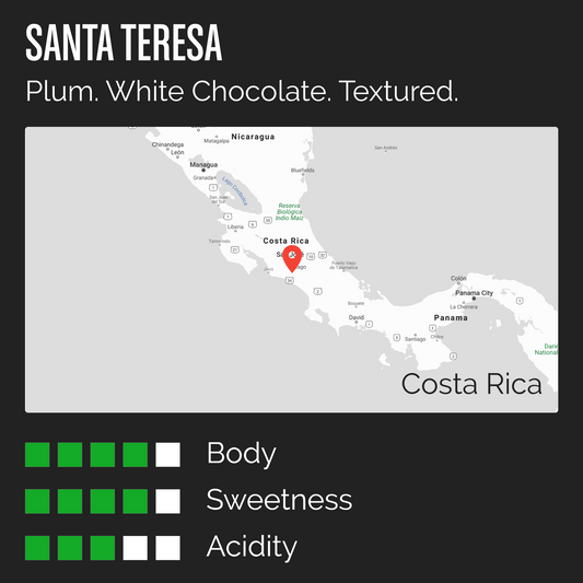 Santa Teresa info card with tasting notes: plum, white chocolate, textured.