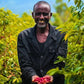 Coffee farmer with cherries in Ethiopia