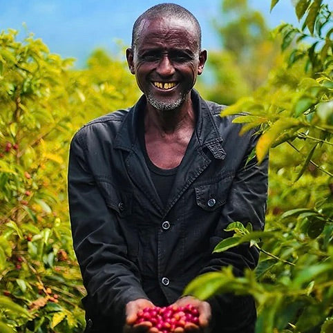 Coffee farmer with cherries in Ethiopia