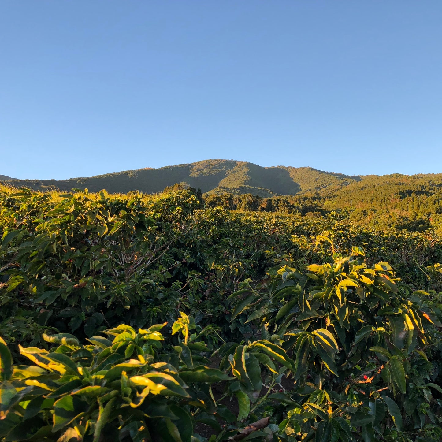 The landscape around Volcan Azul