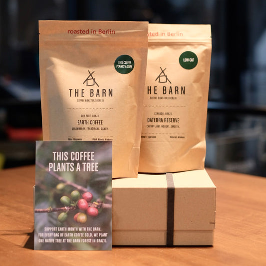 Earth Month Twin Box with two bags of coffee