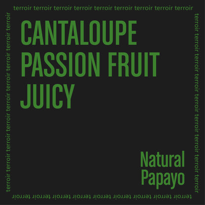 JARDINES DEL EDEN PAPAYO