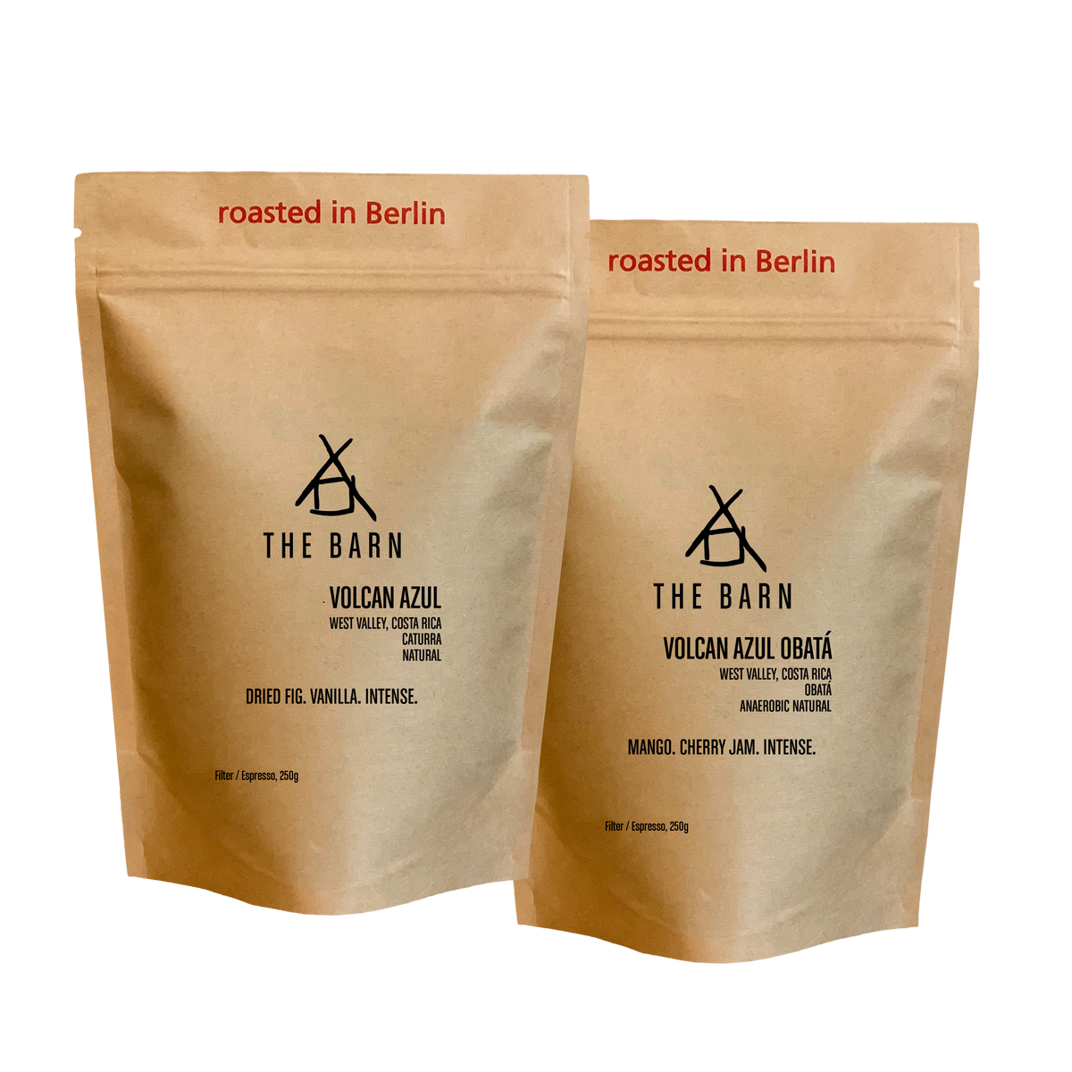 COSTA RICA TWIN BOX
