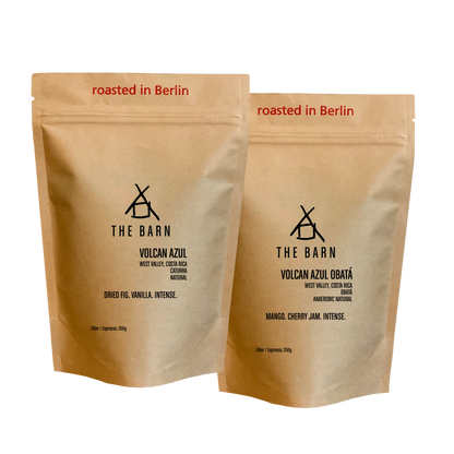COSTA RICA TWIN BOX