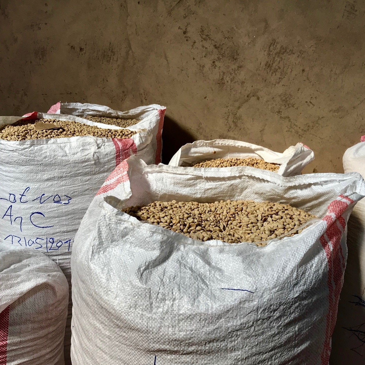 Washed coffee beans at Mahembe in Rwanda